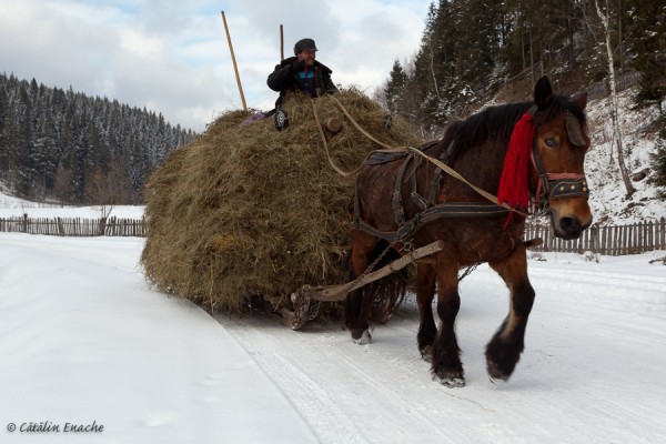 Calator prin Bucovina – Iarna la Moldovita